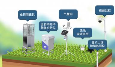 智慧農業創新方案，賦能農業現代化轉型新征程